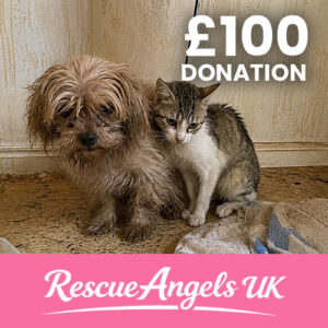 £100 One Time Donation