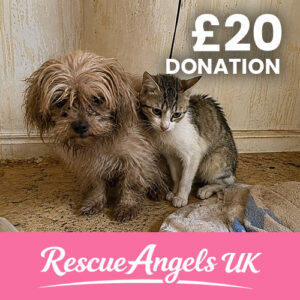 £20 One Time Donation