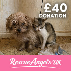 £40 One Time Donation
