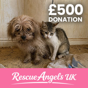 £500 One Time Donation