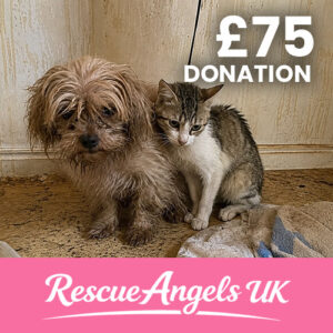 £75 One Time Donation