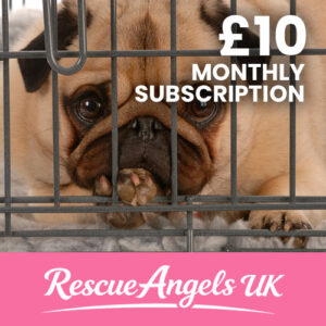 £10 Monthly Donation