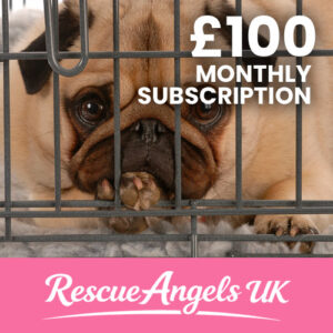 £100 Monthly Donation