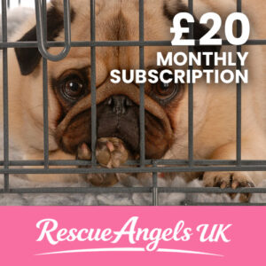 £20 Monthly Donation