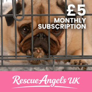 £5 Monthly Donation