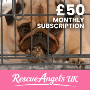 £50 Monthly Donation